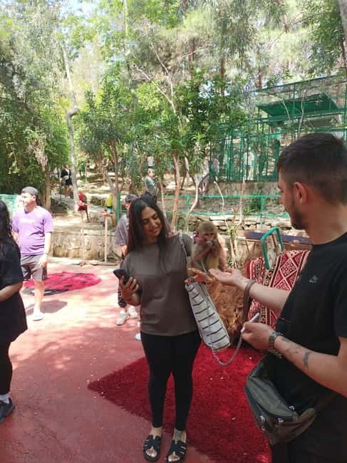 From Alanya: Lion Safari & Green Canyon Splash Feast w/Lunch - The 45-minute lion safari and animal stop
