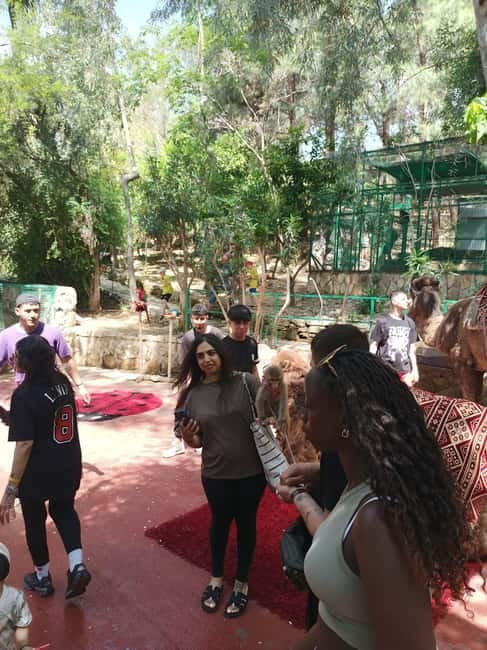 From Alanya: Lion Safari & Green Canyon Splash Feast w/Lunch - What lunch includes, and what it does not