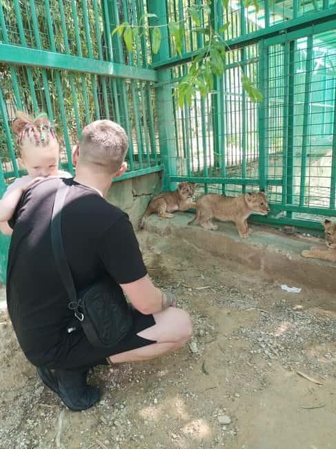 From Alanya: Lion Safari & Green Canyon Splash Feast w/Lunch - Is $27 good value for six and a half hours?