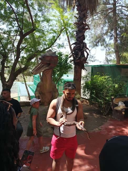 From Alanya: Lion Safari & Green Canyon Splash Feast w/Lunch - Who should book this experience?