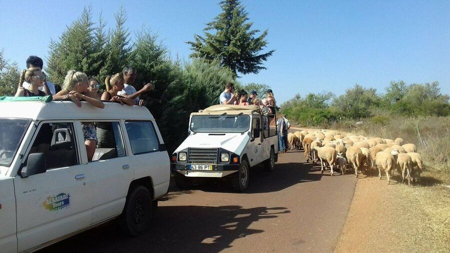 From Albufeira: 4x4 Off-Road Safari & Vineyard Wine Tasting - Small villages and big views