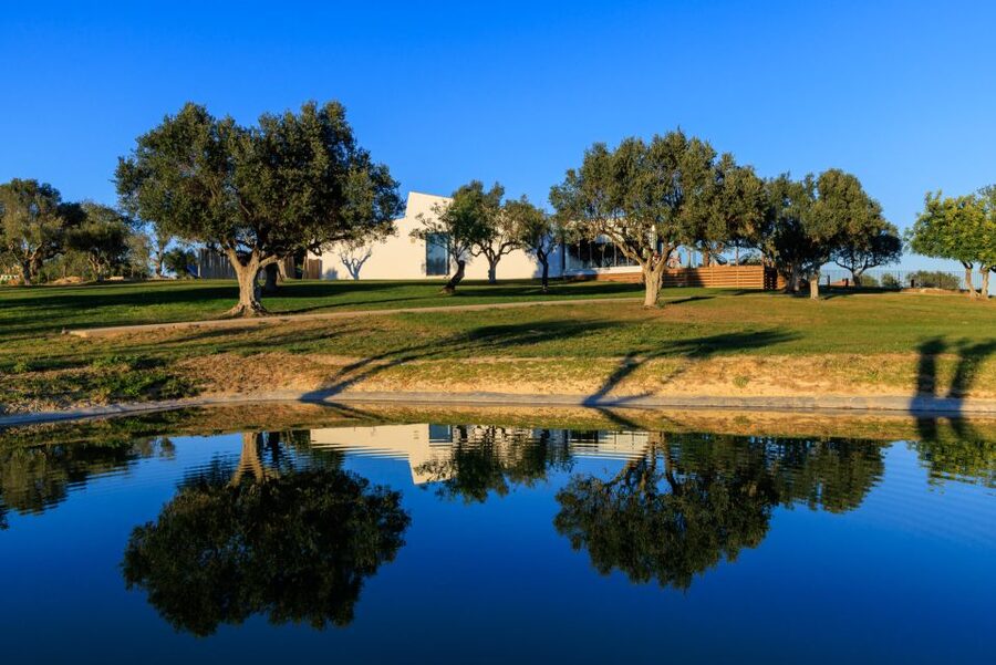 From Albufeira: 4x4 Off-Road Safari & Vineyard Wine Tasting - Who will enjoy this tour most?