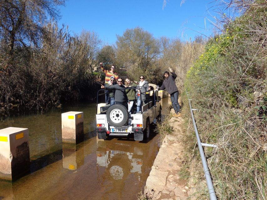From Albufeira: Half-Day Algarve Jeep Safari - Key points to know before booking