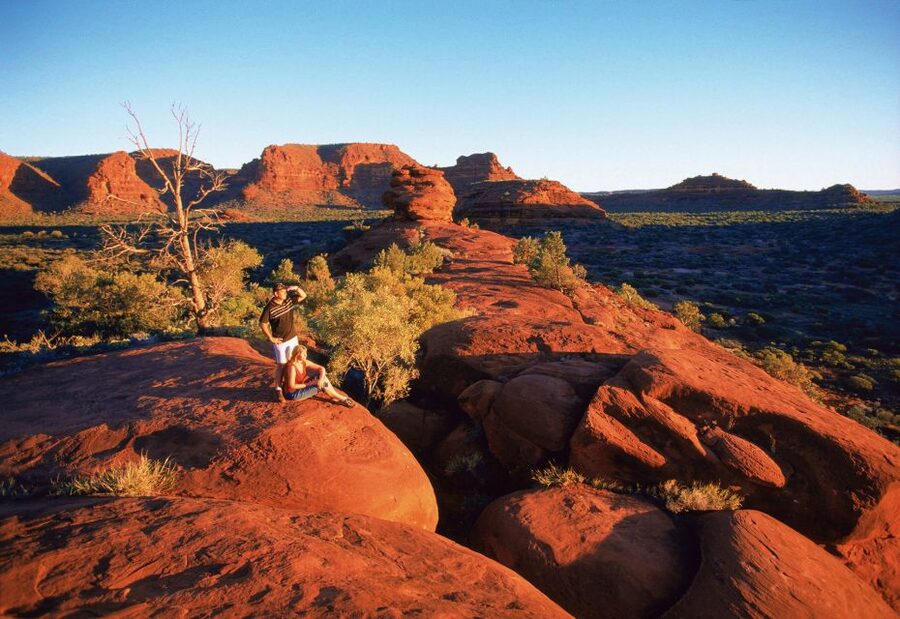 From Alice Springs: Palm Valley 4WD Outback Safari + Picnic - Practical Details Before You Reserve