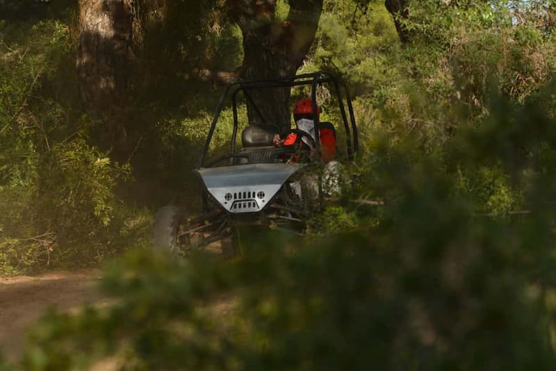 From Antalya: Desert Buggy Safari Near the City Center - Riding through the forest and desert-style route