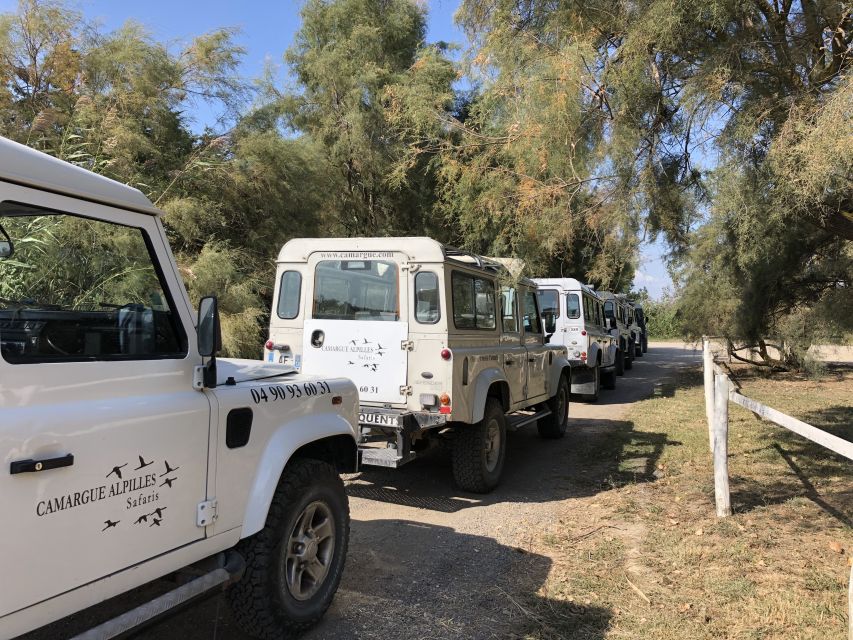 From Arles: Half-Day 4x4 Camargue Safari - Key points at a glance