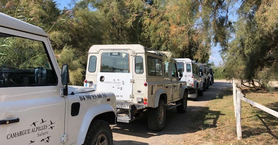 From Arles: Half-Day 4x4 Camargue Safari - FAQ