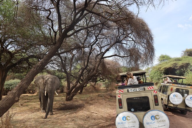 From Arusha: 6 Day Classic Game Drive Serengeti & Ngorongoro - Day 2: Through Ngorongoro to Ndutu