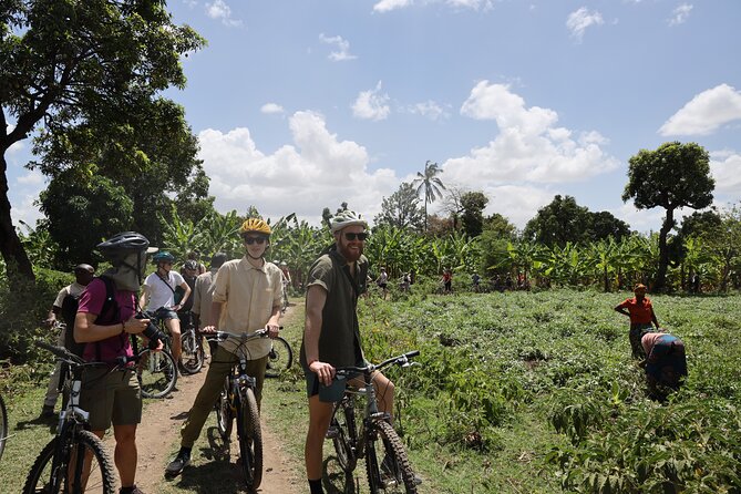 From Arusha: 7 Days Classic Safari Central Northern Circuit - Day 3: Lake Manyara’s forest, lake, and flamingos