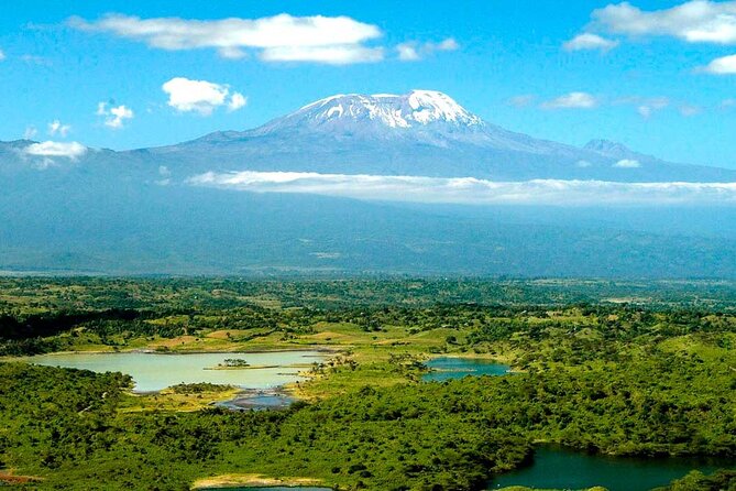 From Arusha: 7 Days Classic Safari Central Northern Circuit - Day 2: A slow day near Lake Manyara