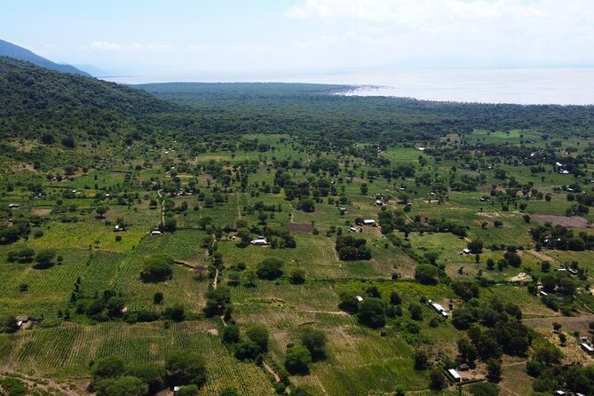From Arusha: 9 Days Private Guided Classic Game Drive in Tanzania - Day 2: Lake Manyara in a compact setting