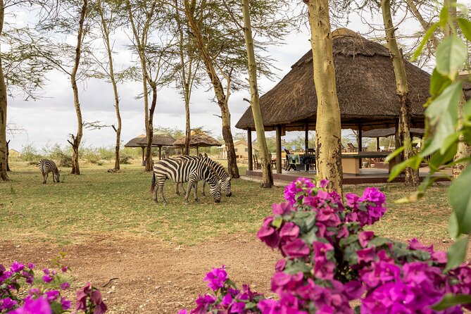 From Arusha: 9 Days Private Guided Classic Game Drive in Tanzania - Day 8: Ngorongoro Crater and Big Five country