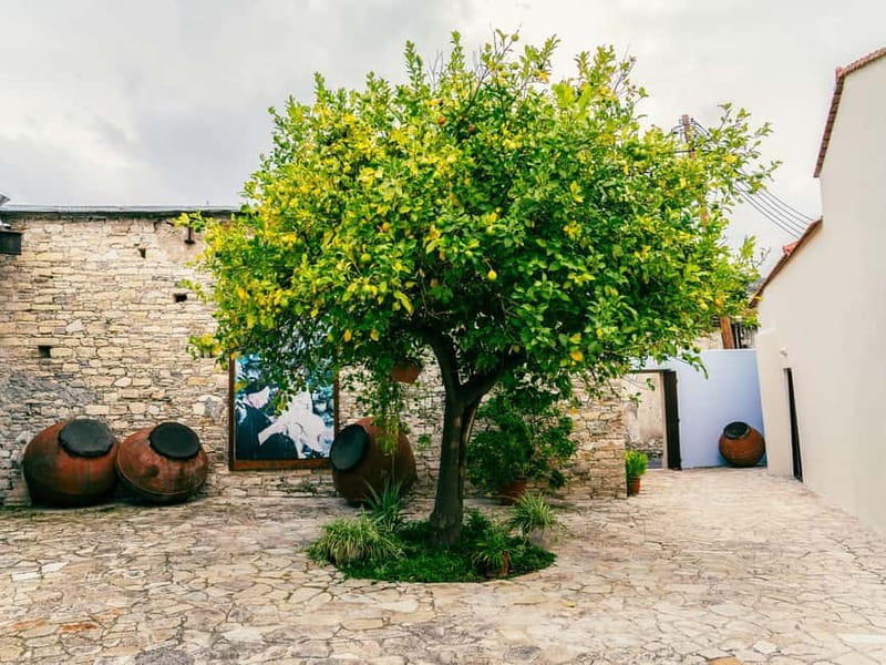 From Ayia Napa: Grand Tour Jeep Safari with Lunch - Lunch in Pano Platres
