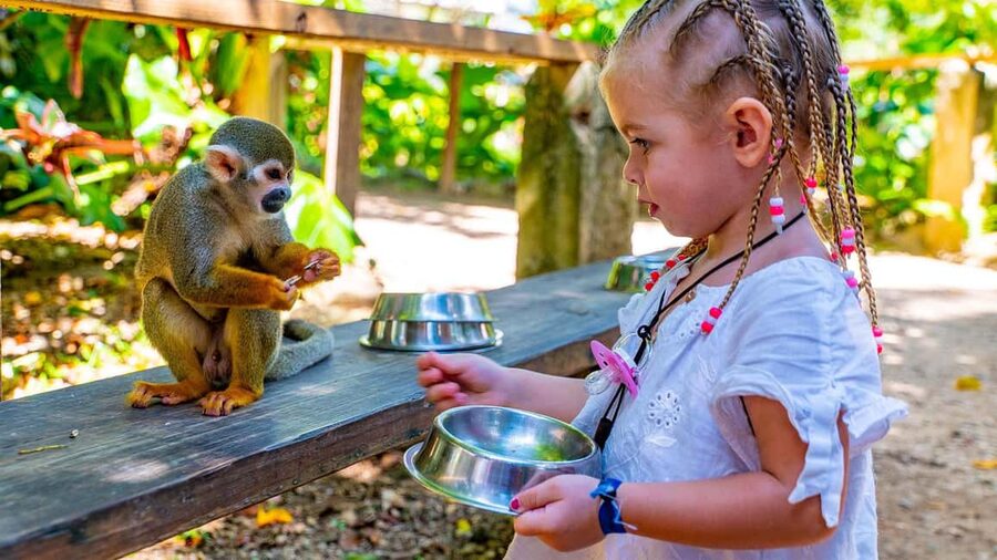 From Bayahibe: Half Day Monkeyland Safari - Key points at a glance