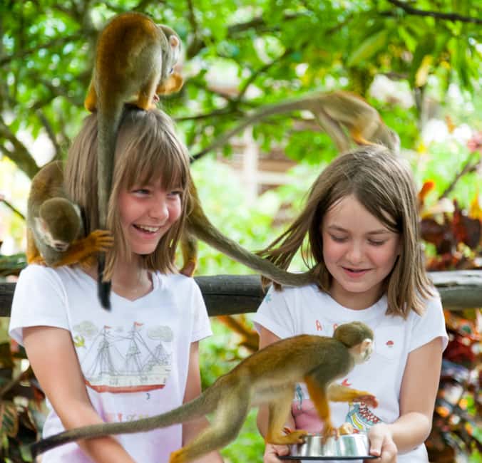 From Bayahibe: Half Day Monkeyland Safari - Walking through the botanical garden