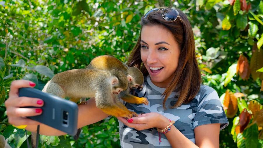 From Bayahibe: Half Day Monkeyland Safari - Is $95 a fair price?