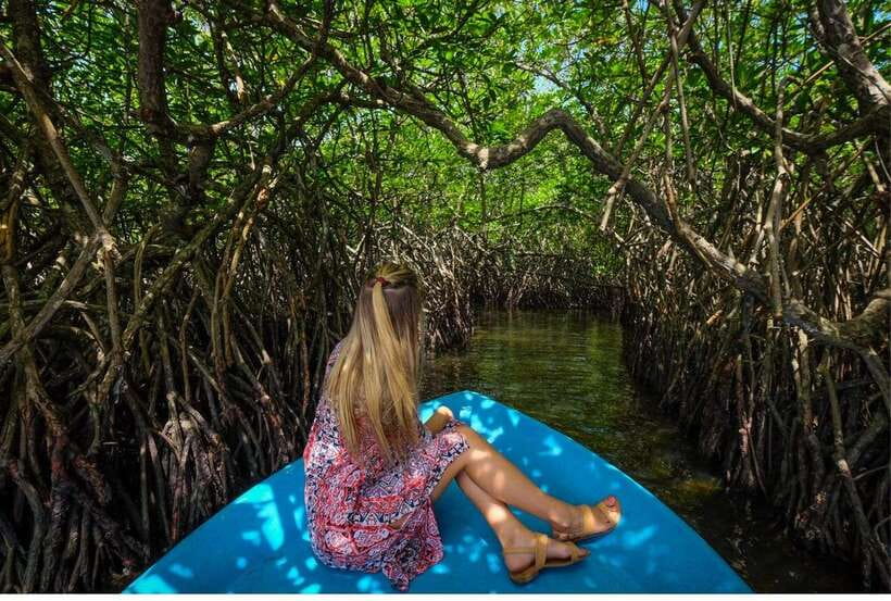 From Bentota: Exclusive Madu River Safari & Turtle Hatchery - Madu Ganga gives you Sri Lanka by boat