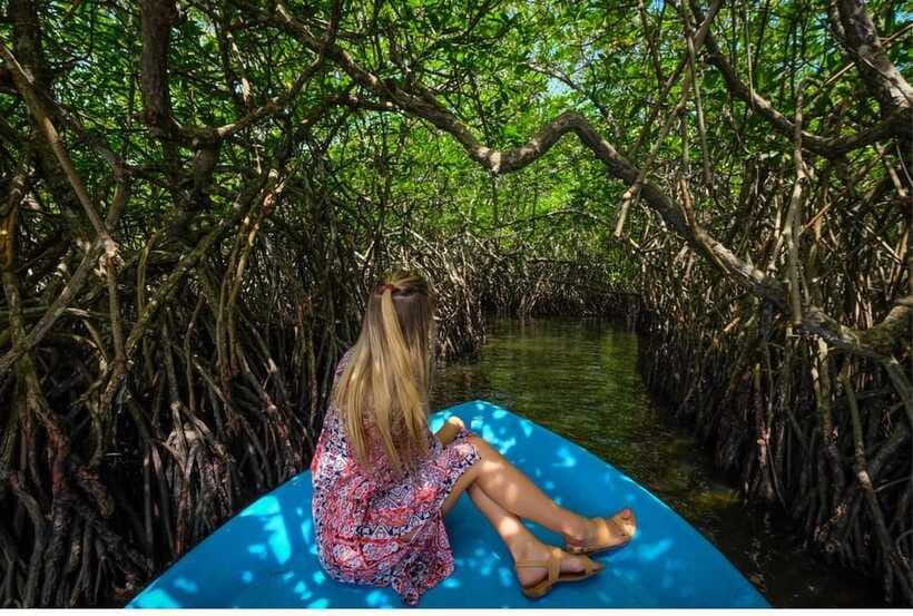 From Bentota: Exclusive Madu River Safari & Turtle Hatchery - Who will enjoy this morning most