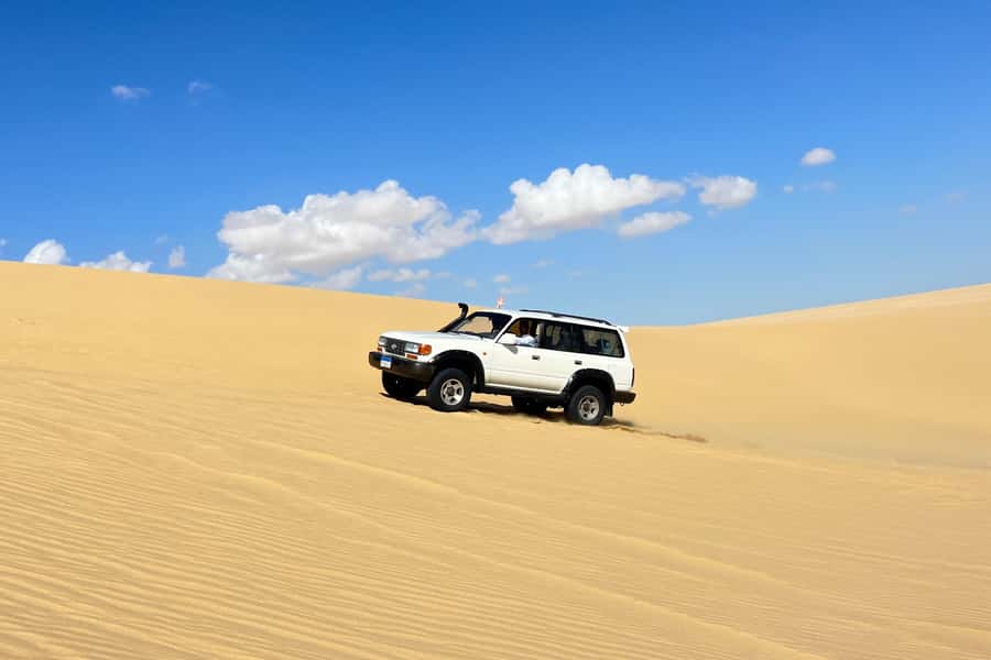 From Cairo: Desert Safari, Camel Ride, Magic Lake, & Lunch - Why this Faiyum desert trip is worth your day