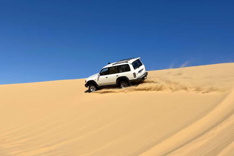 From Cairo: Desert Safari, Camel Ride, Magic Lake, & Lunch - A camel or horse ride beside Wadi El Rayan Lake