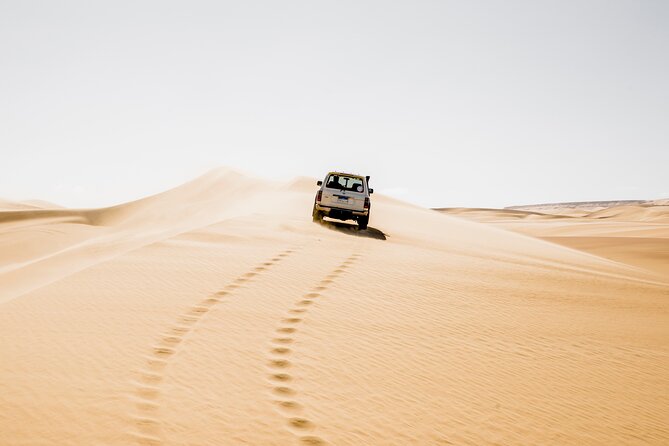 From Cairo: Desert Safari, Waterfalls, Sand boarding and Camel ride with Lunch - Key points to know before you book