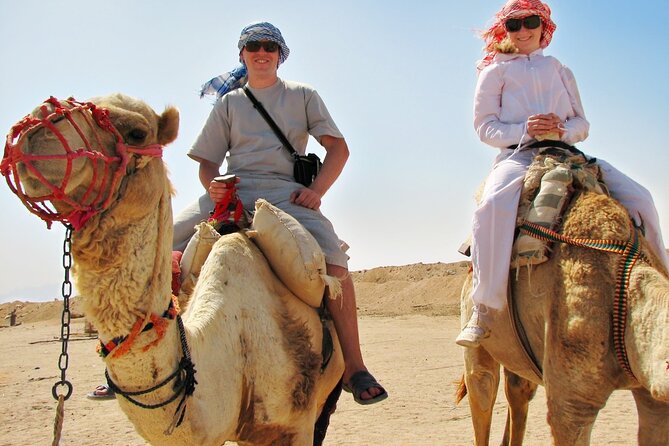 From Cairo: Desert Safari, Waterfalls, Sand boarding and Camel ride with Lunch - Mudawara Mountains and the big desert view