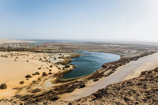 From Cairo: Desert Safari, Waterfalls, Sand boarding and Camel ride with Lunch - 4x4 dune driving and sandboarding