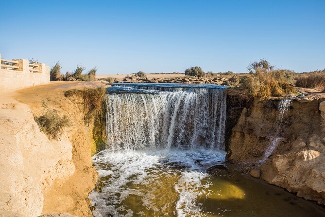 From Cairo: Desert Safari, Waterfalls, Sand boarding and Camel ride with Lunch - Lunch at the Bedouin camp