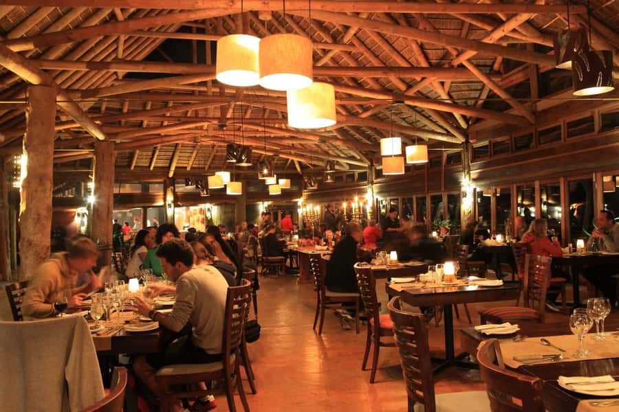 From Cape Town: 2-Day Safari at Garden Route Game Lodge - Who should book this safari?