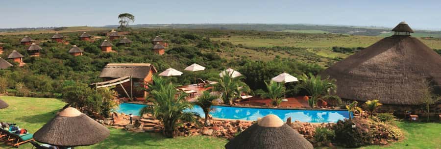 From Cape Town: 2-Day Safari at Garden Route Game Lodge - The long road from Cape Town to Hermanus