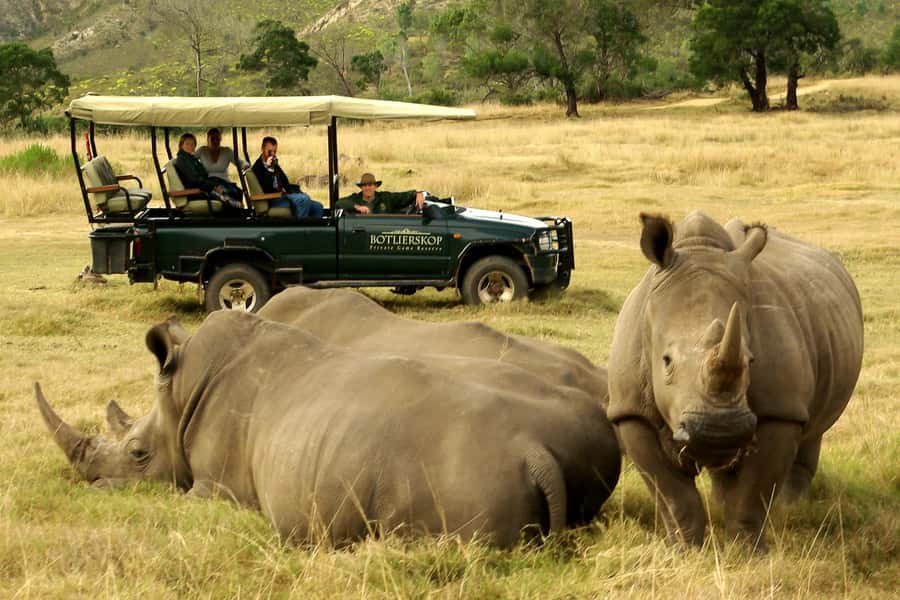 From Cape Town: 3-Day Garden Route Highlights and 4x4 Safari - The trip in six quick points
