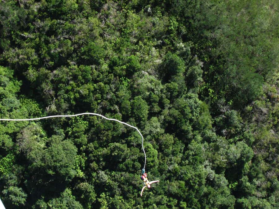From Cape Town: 3-Day Garden Route Highlights and 4x4 Safari - Guides and group atmosphere