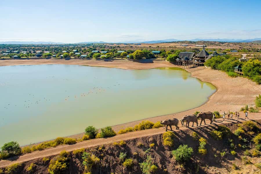 From Cape Town: 3-Day Garden Route Highlights and 4x4 Safari - Cango Caves: choose comfort or a tight squeeze