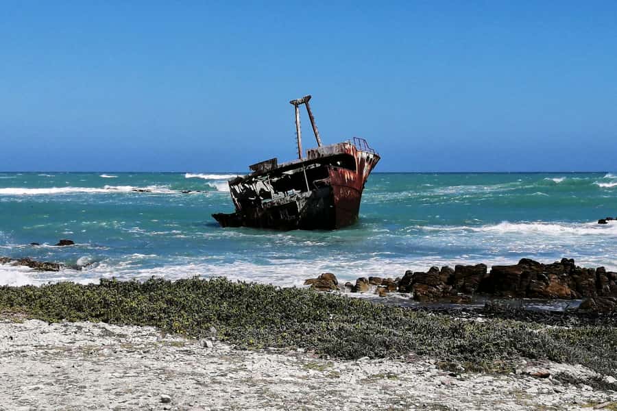 From Cape Town: 3-Day Garden Route Safari and Coastal Tour - Is $720 good value?