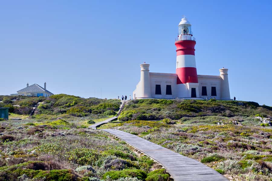 From Cape Town: 3-Day Garden Route Safari and Coastal Tour - The return via Route 62