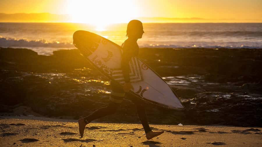 From Cape Town: 5-Day Best of Garden Route and Addo Safari - Should you book it?