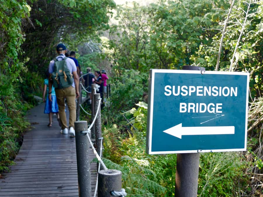 From Cape Town: 5-Day Best of Garden Route and Addo Safari - What the $675 price really buys you