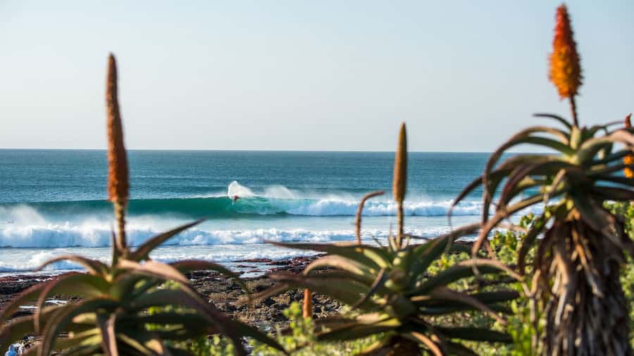 From Cape Town: 5-Day Best of Garden Route and Addo Safari - Day 2: Cango Caves and South African roadside food