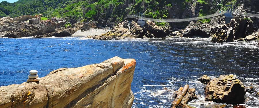 From Cape Town: 5-Day Best of Garden Route and Addo Safari - Who should book this fast-paced route
