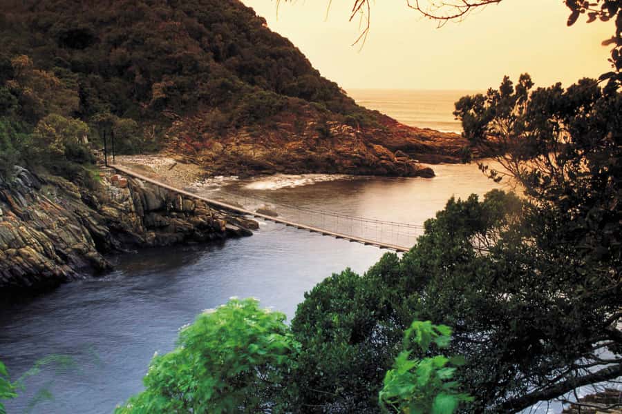 From Cape Town: 5-Day Best of Garden Route and Addo Safari - Day 1: Route 62 and the road to Oudtshoorn