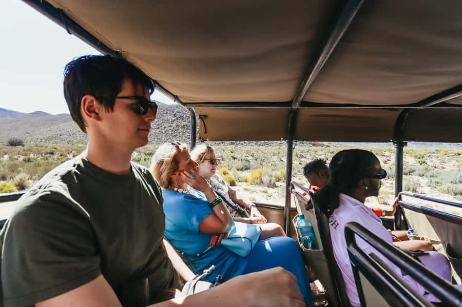 From Cape Town: Big Five Game Reserve with Lunch - The two-hour open vehicle game drive