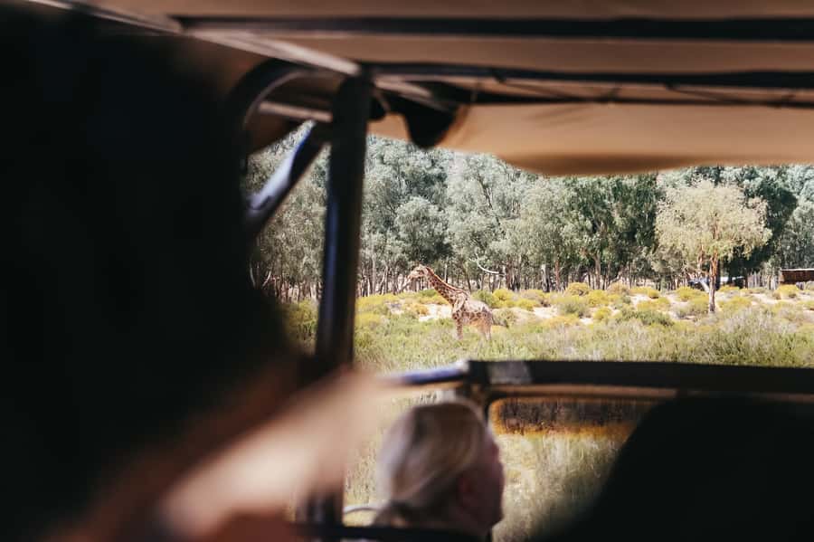 From Cape Town: Big Five Game Reserve with Lunch - How the $236 price works out