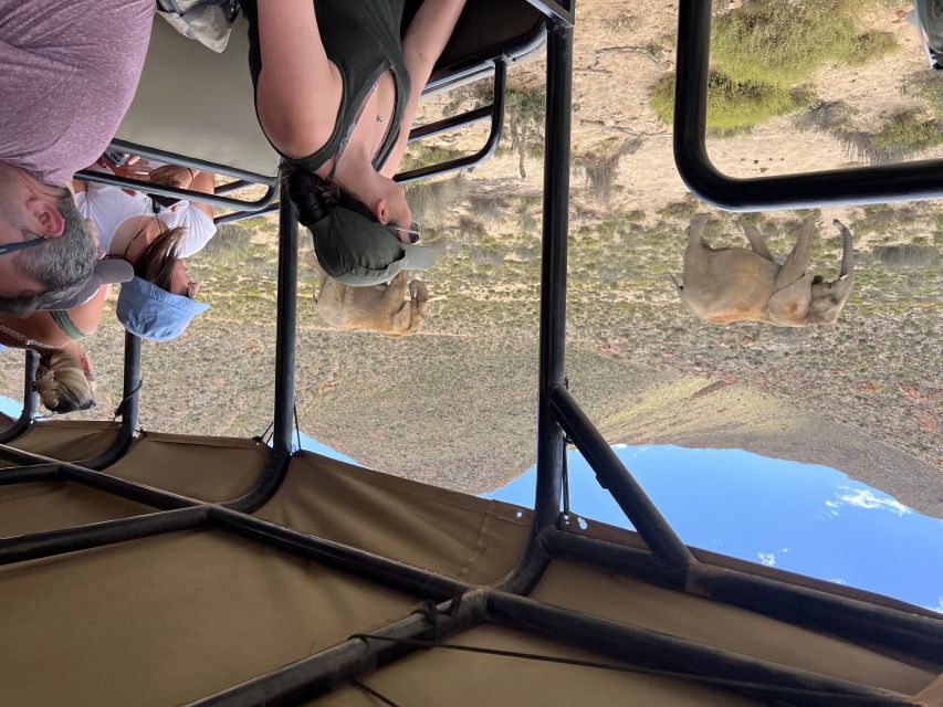 From Cape Town: Big Five Safari Experience with Lunch - The 2.5 to 3-hour game drive