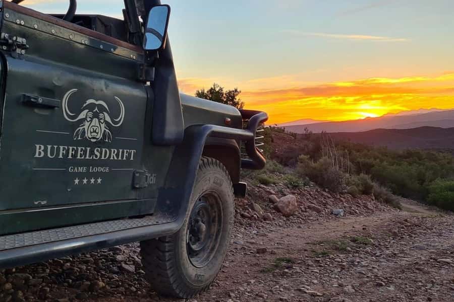 From Cape Town: South African Wildlife and Safari 2-Day Tour - Botlierskop and the first 4x4 game drive