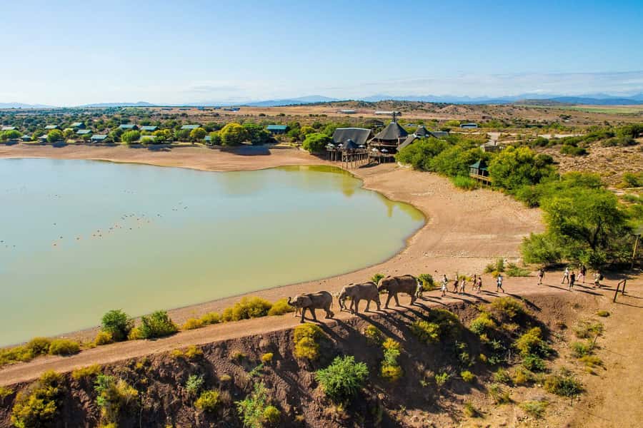 From Cape Town: South African Wildlife and Safari 2-Day Tour - Day two: Buffelsdrift’s closer look at nature