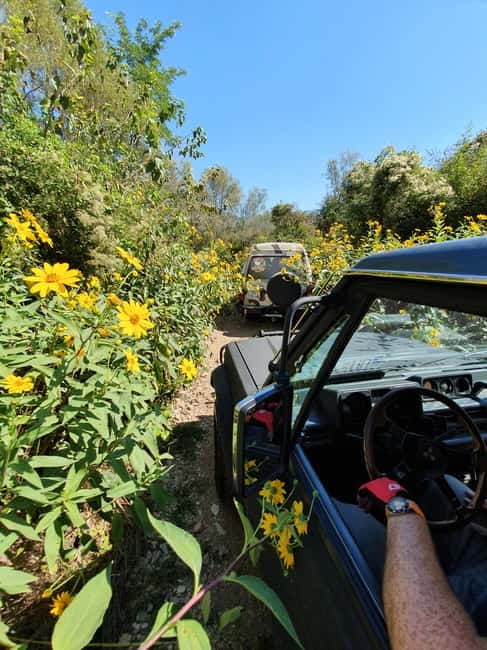 From Cavtat: Konavle Valley Off-Road Jeep Safari with Lunch - Rocky tracks and views toward the Adriatic
