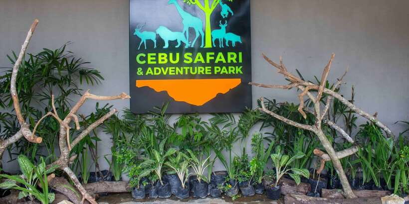 From Cebu City: Cebu Safari and Adventure Park Day Tour - The Bird Show at 1:45 PM