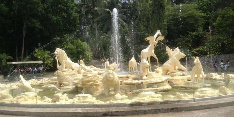 From Cebu City: Cebu Safari and Adventure Park Day Tour - Food, Water, and Cash Planning