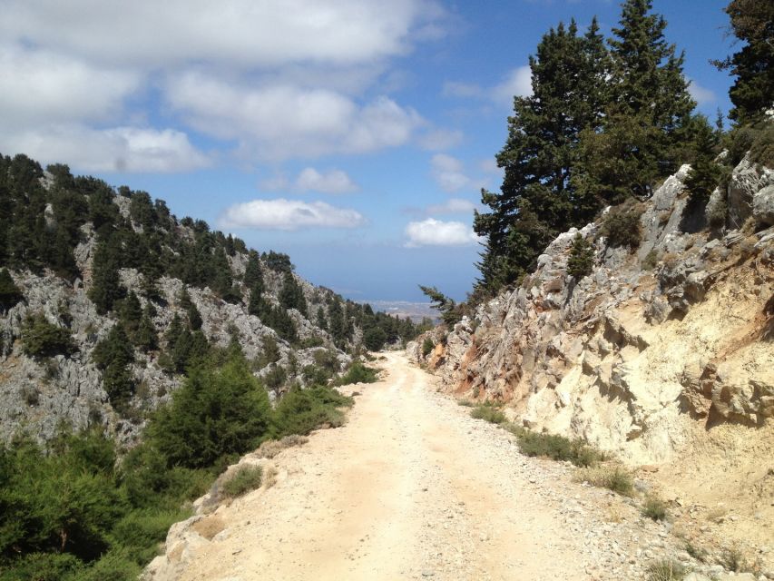 From Chania: White Mountains Land Rover Safari - Driving through Therisso Gorge