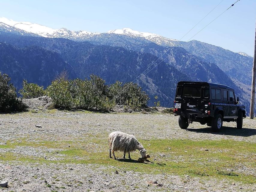 From Chania: White Mountains Land Rover Safari - Coffee and mountain tea away from the crowds